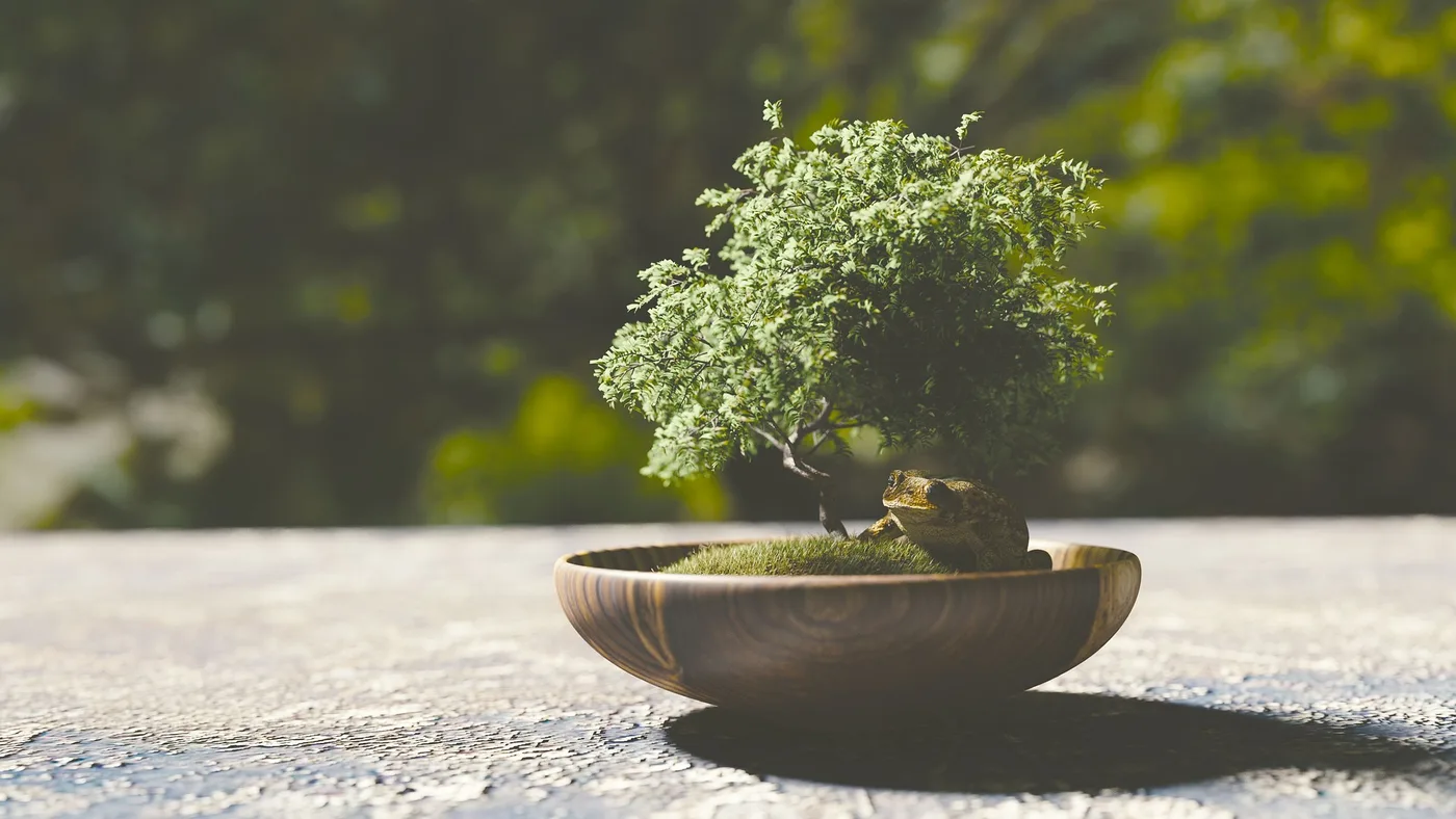 Beginning Bonsai: A Journey of Growth and Patience
