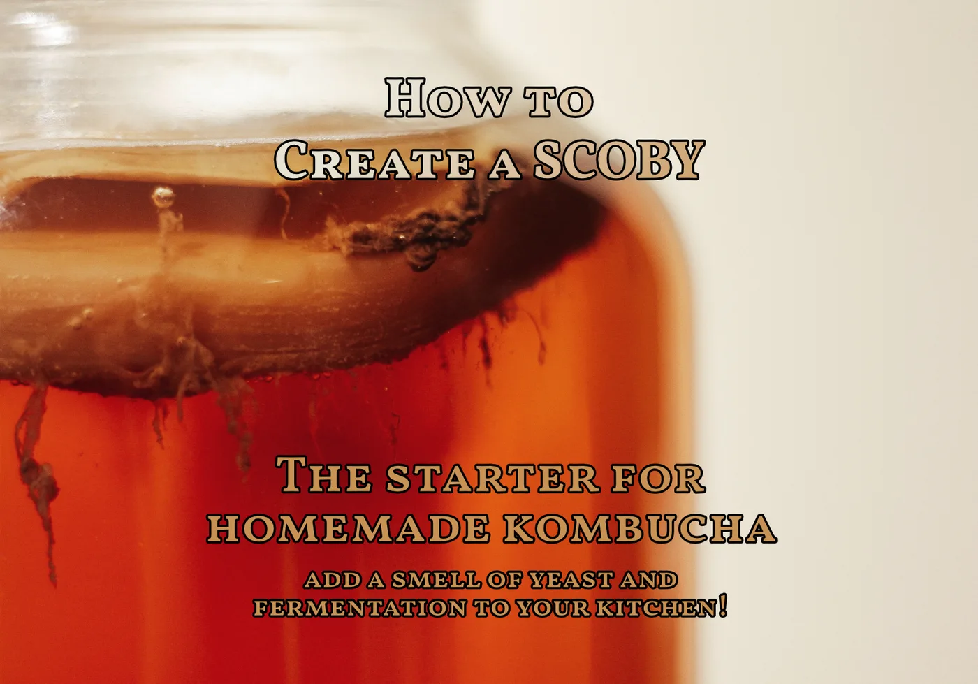 How to Create a SCOBY for Kombucha: A Step-by-Step Guide